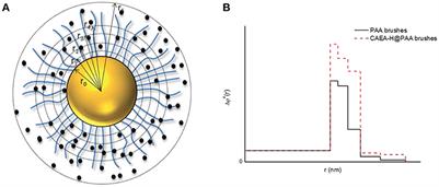 Facile Fluorescence “Turn on” Sensing of Lead Ions in Water via Carbon Nanodots Immobilized in Spherical Polyelectrolyte Brushes